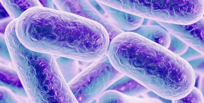 Listeria monocytogenes: un peligro en expansión